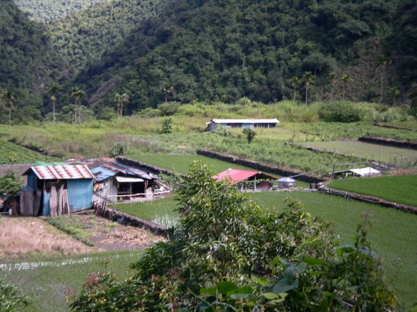 PICT0302.JPG