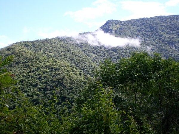 PICT0301.JPG