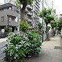 1106日暮里街道.jpg