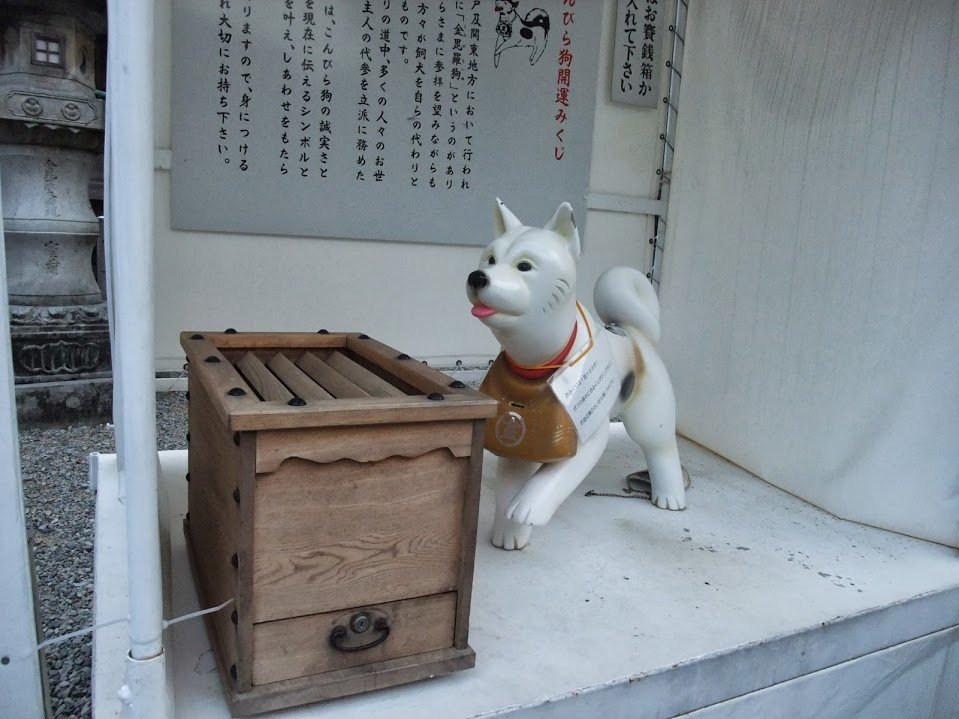 DSCF2902