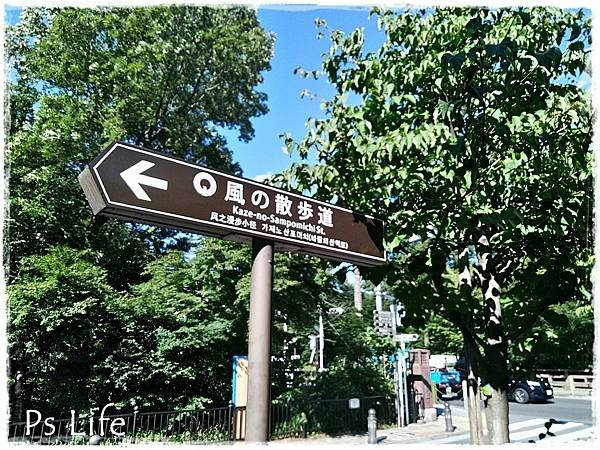 P_20180629_155614_vHDR_On.jpg