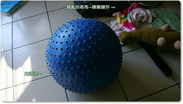 M4H02156[(000047)14-45-55].JPG