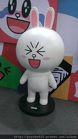 IMAG2521.jpg