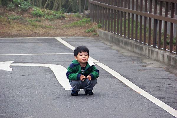 鳳凰谷鳥園7.jpg