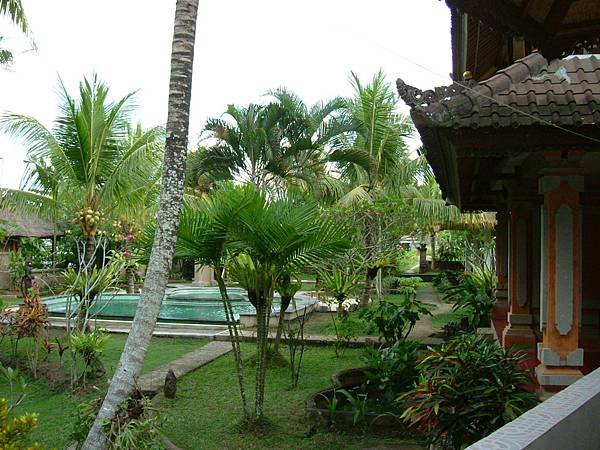 Indonesia照片0710-0724 2004 008.jpg