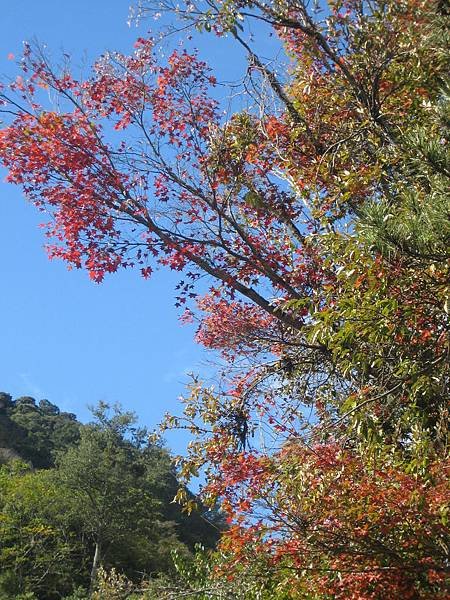 IMG_0894.jpg