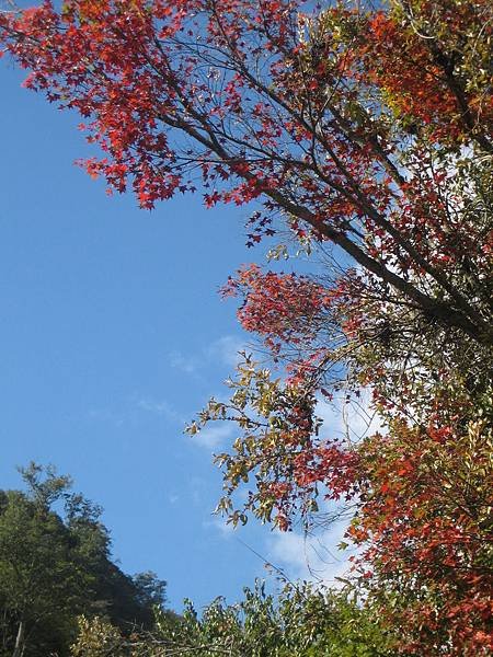 IMG_0895.jpg