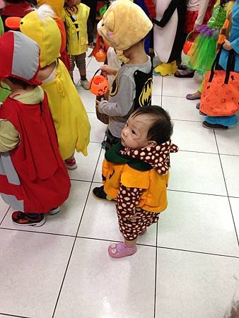 IMG_7645