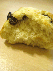 IMG_0321.gif