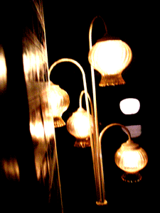 20061031234859.gif
