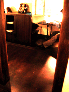 20061031234949.gif