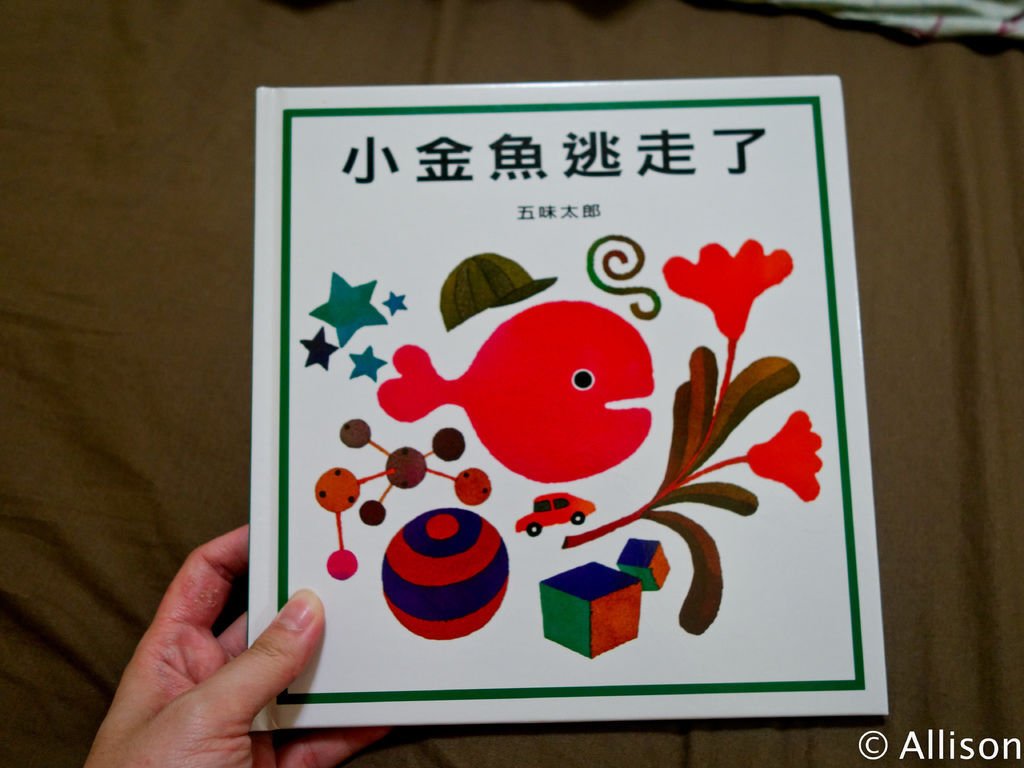 DSC09097.jpg