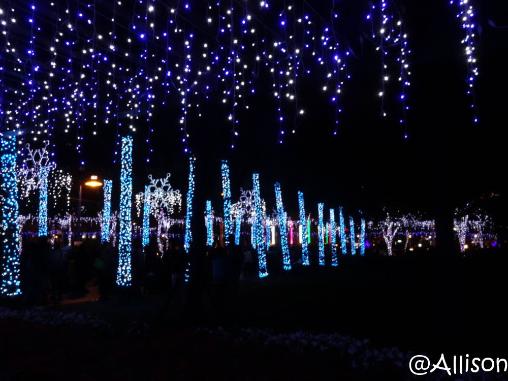 DSC02872.jpg
