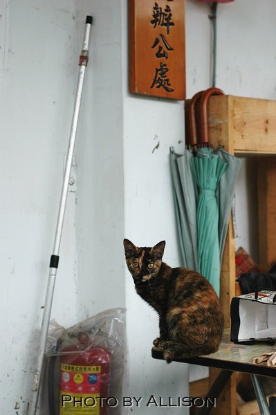 DSC_7139.JPG