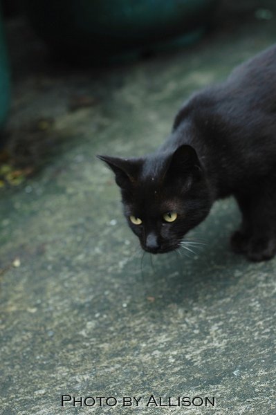 DSC_7169.JPG