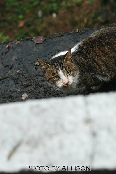 DSC_7604.JPG