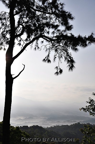 DSC_0386.JPG