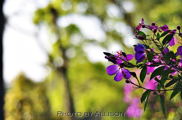 DSC_0431.JPG