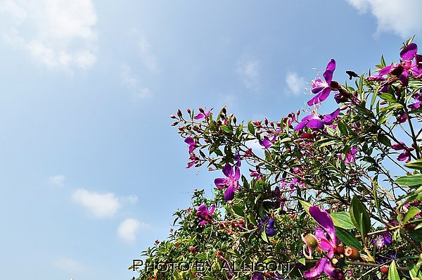 DSC_0460.JPG