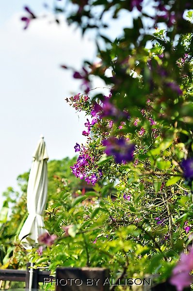 DSC_0466.JPG