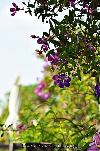 DSC_0467.JPG