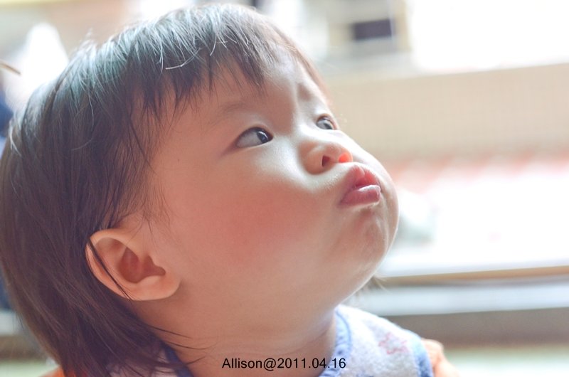 DSC_2512.JPG