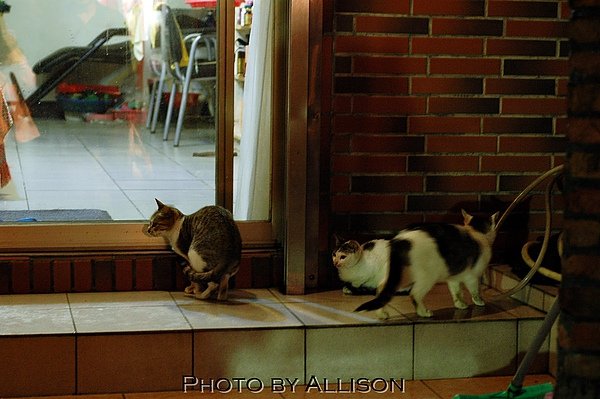DSC_8378.JPG