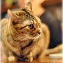 DSC_1035.JPG