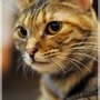 DSC_1177.JPG
