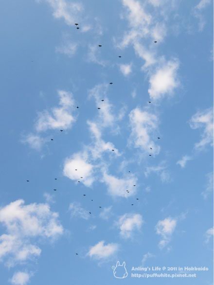 59.jpg