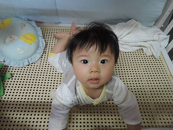 DSCN3122