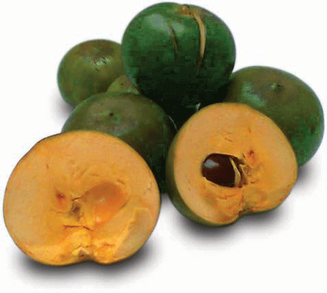 Lucuma.gif