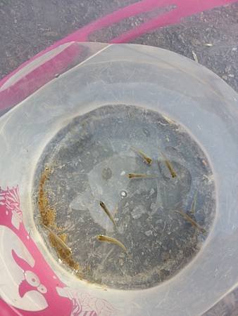20150228_163929.jpg