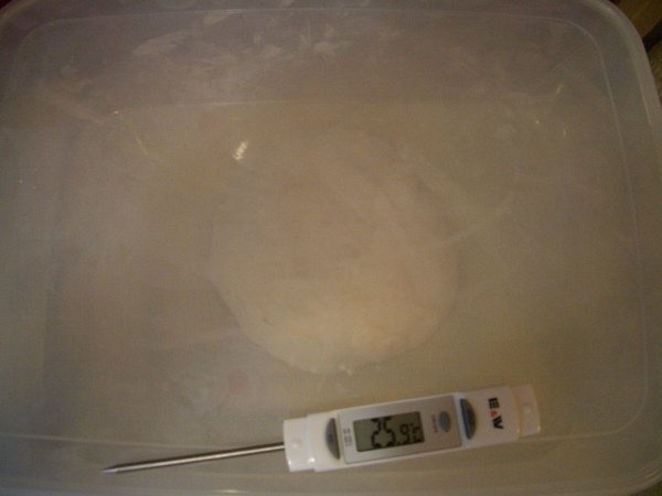 06.JPG