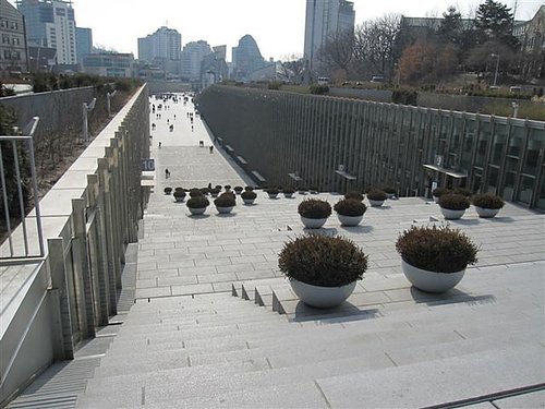 IMG_4778.JPG
