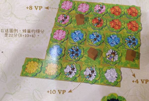 蜜蜂花園 QUEENZ  繁體中文版 開箱及規則介紹 by 