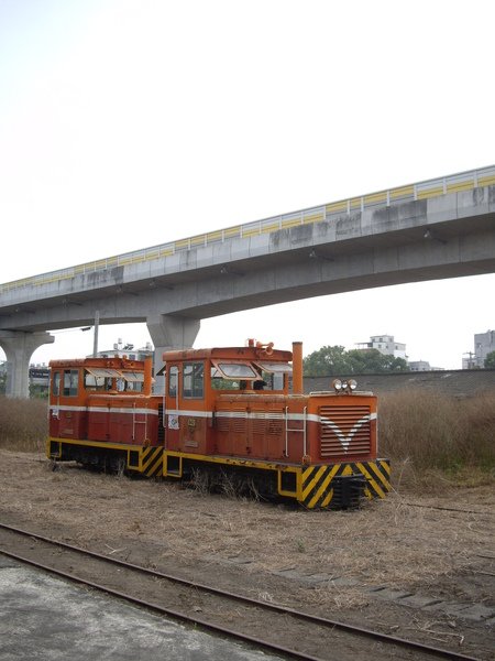 IMGP9950.JPG