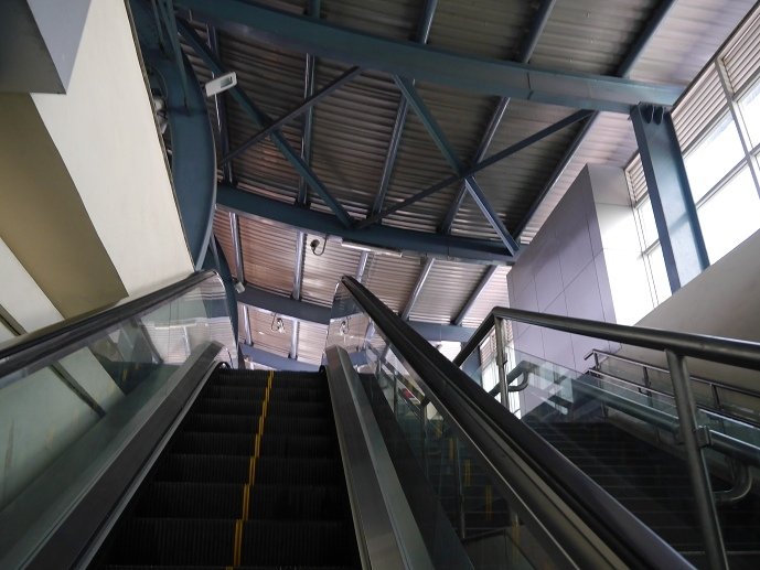 P1260431.jpg