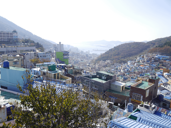 P1240893.png