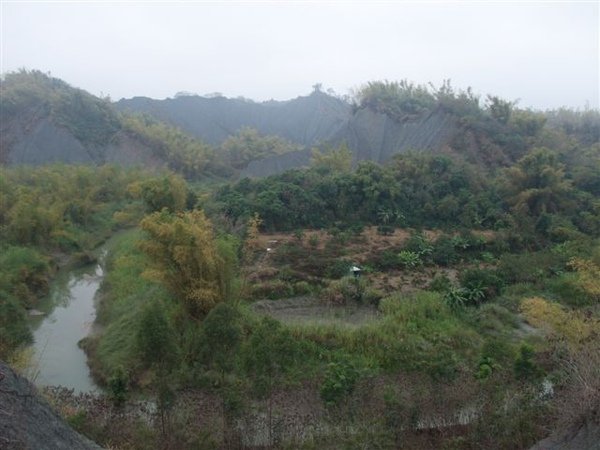 DSCF6517.jpg