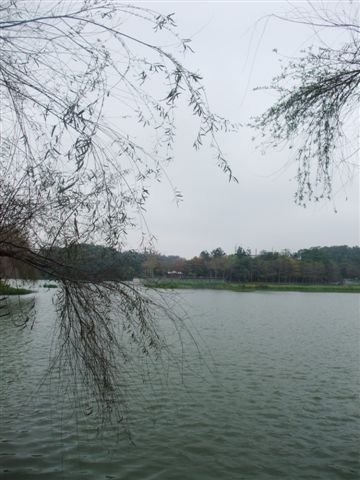 DSCF6566.jpg