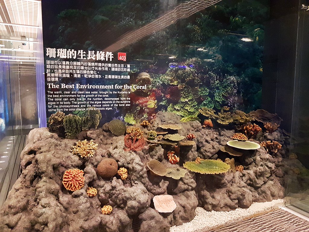 43二樓海之層.jpg - 宜蘭頭城蘭陽博物館