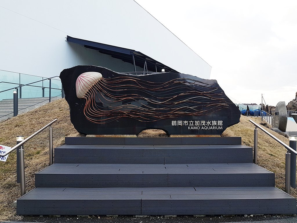 01加茂水族館.jpg - 鶴岡市立加賀水族館