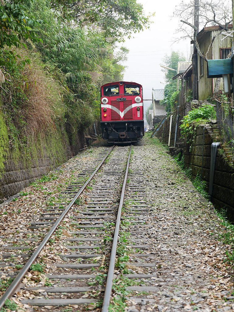 39阿里山火車.jpg - 阿里山奮起湖老街