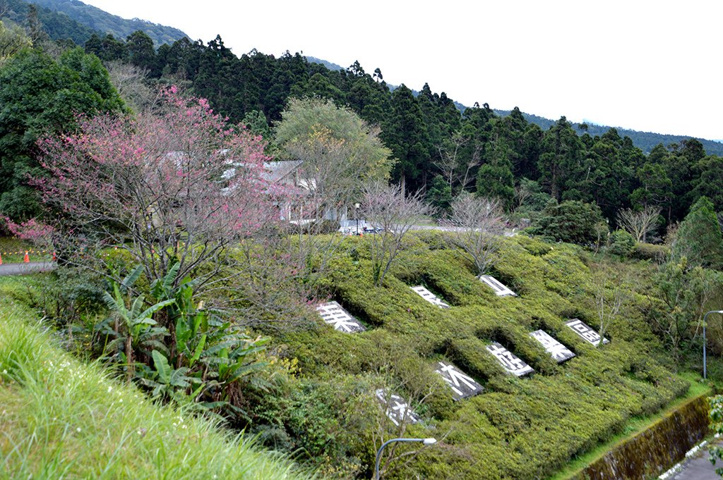 02東眼山森林遊樂區.jpg