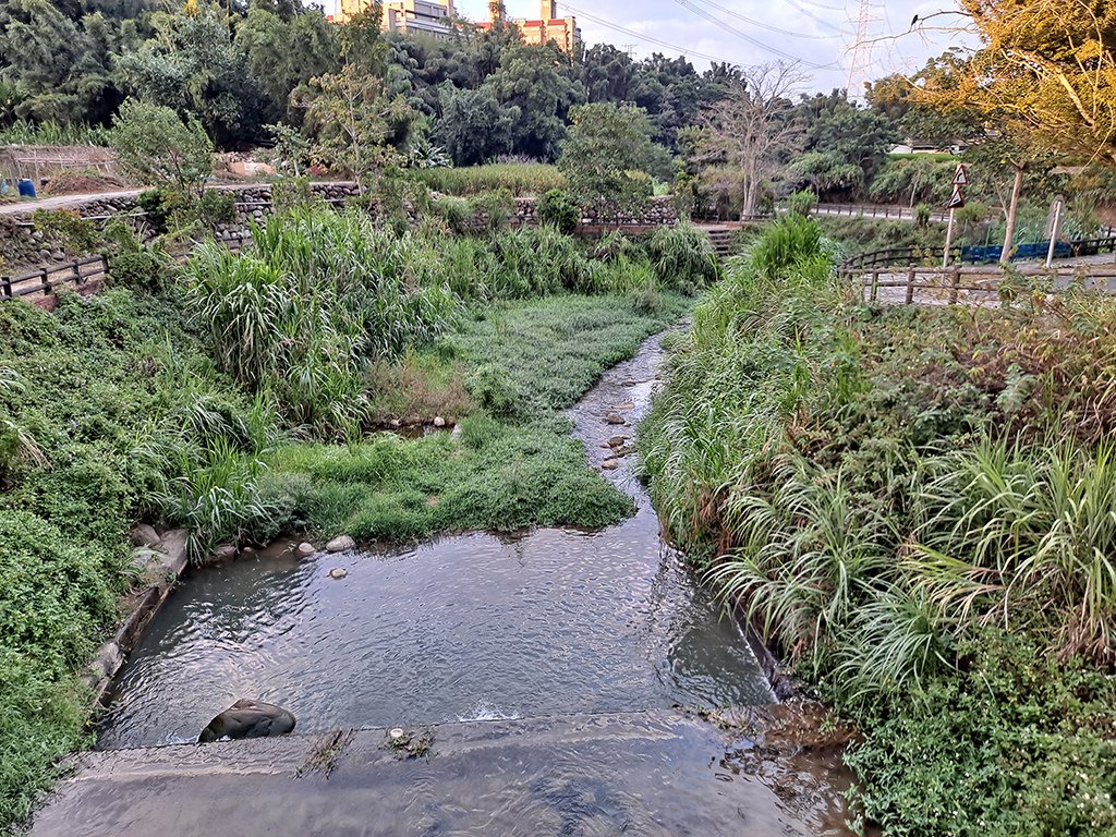 04大平紅橋.jpg