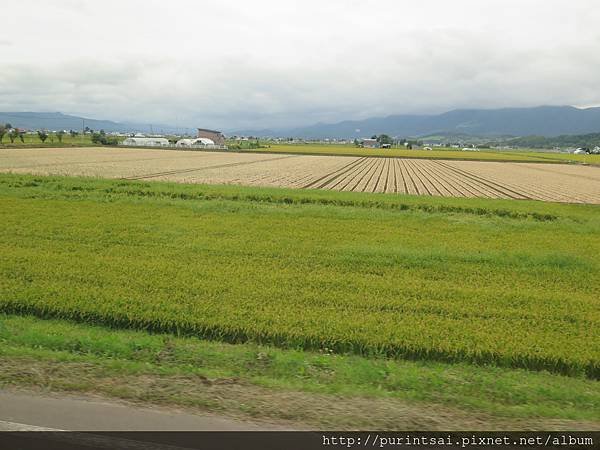 IMG_1094.JPG