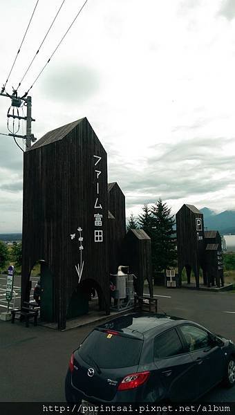 IMAG0586.jpg
