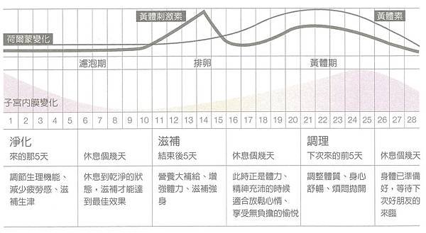 月康三階段 拷貝.JPG