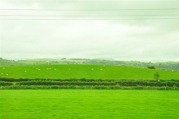 DSC_1193.JPG